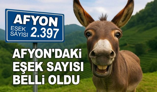 Afyonkarahisar, eşek sayısında Türkiye'de ilk sıralarda