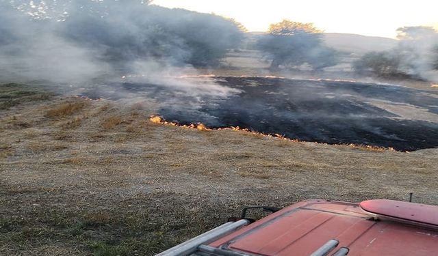 Şuhut'ta iki ayrı noktada arazi yangını çıktı