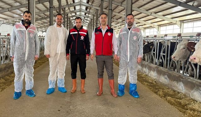 Afyon'da bir işletmeye 'Hastalıktan Ari İşletme' sertifikası verildi