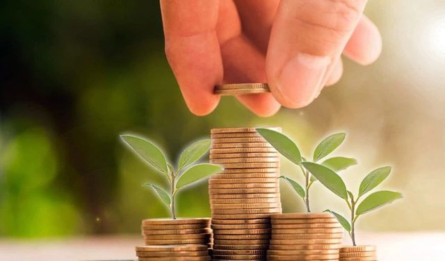 Fon Seçenekleriyle Yatırımlarınızı Çeşitlendirin