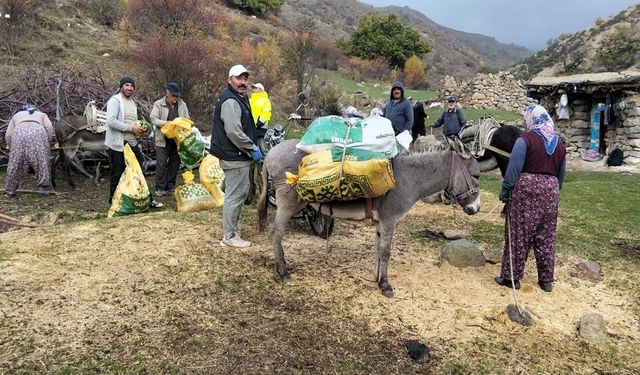 Şuhut'ta kestane hasadı başladı