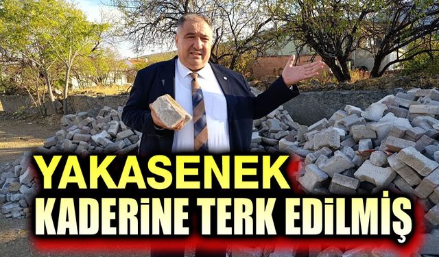 Yakasenek, kaderine terk edilmiş