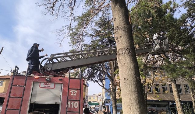 İtfaiyeden su fışkırtma tekniğiyle kedi kurtarma operasyonu