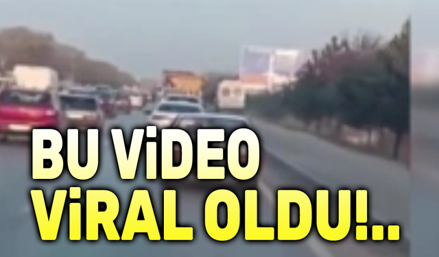 Bu video viral oldu!..