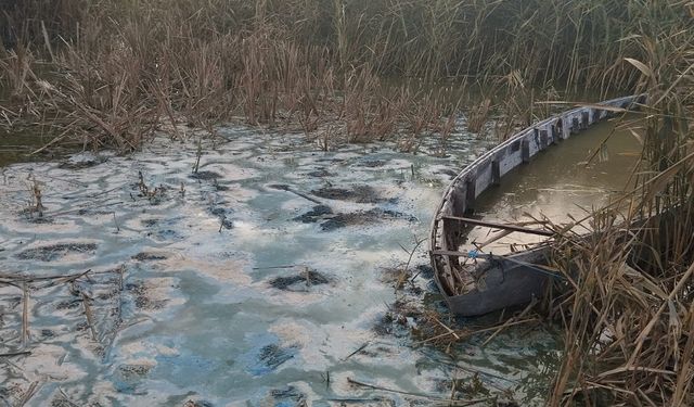 Eber Gölü, kağıt üzerinde yaşatılıyor!..