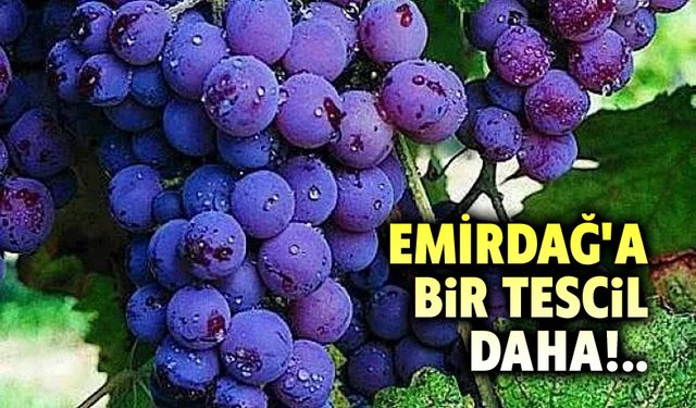 Emirdağ Karacalar Üzümü Coğrafi İşaret Tescili aldı