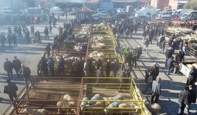 Şuhut Canlı Hayvan Pazarı açıldı