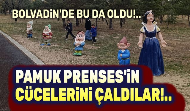 Pamuk Prenses'in cücelerini çaldılar!..