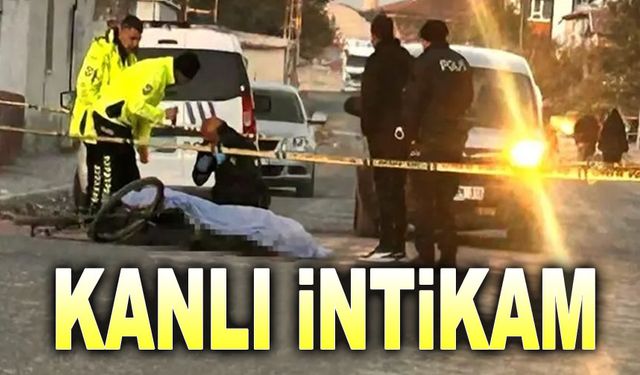 Trafik kazası sonucu kanlı intikam