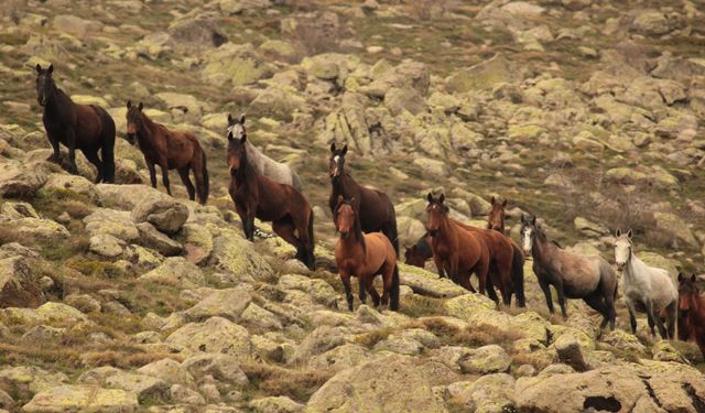 Afyonkarahisar'ın zirvesinde büyüleyen görüntüler