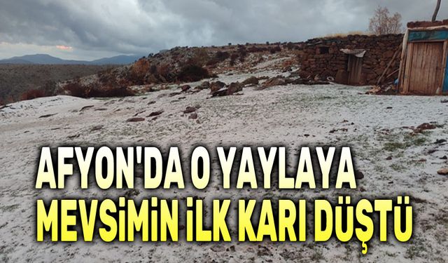 Afyon'da o yaylaya mevsimin ilk karı düştü!..