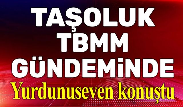 Taşoluk, TBMM gündemine taşındı!..