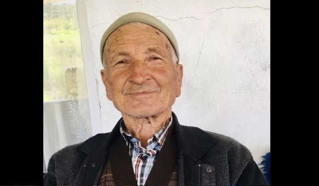 Yolcu treninin çarptığı yaşlı adam öldü