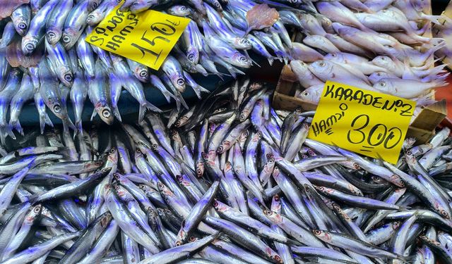 Afyon'da tezgahlarda hamsi bereketi!..