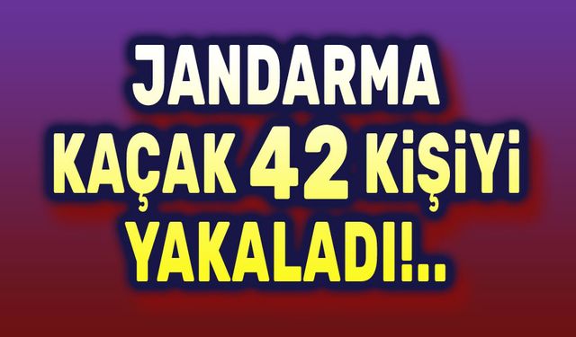 Jandarma'dan suçlulara darbe: 42 kişi yakalandı