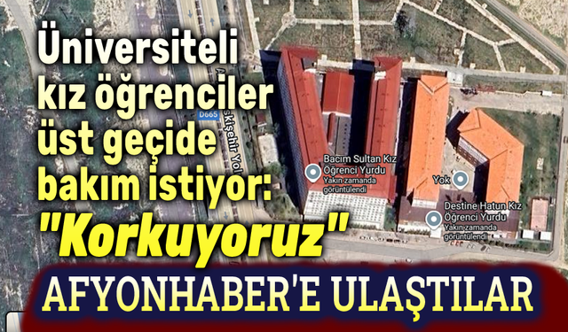 Üniversite öğrencileri, üst geçide bakım istiyor