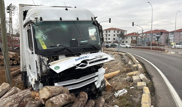 Bolvadin'de tır tomruk deposuna daldı