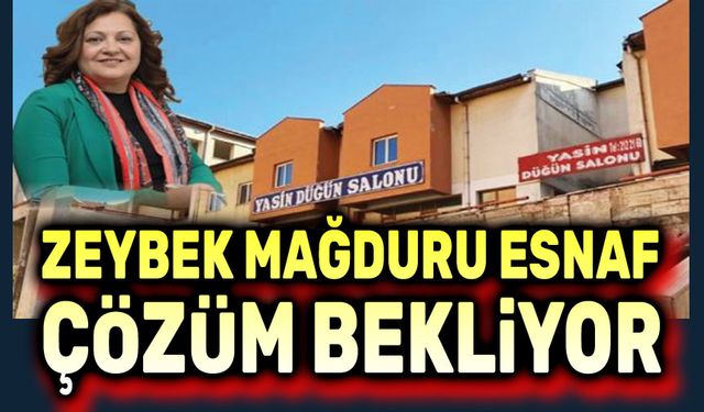 Zeybek mağduru esnaf çözüm bekliyor!..