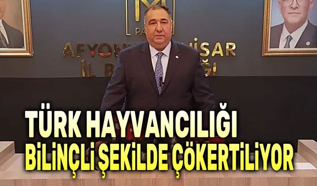 Muhammet Mısırlıoğlu: Türk hayvancılığı bilinçli şekilde çökertiliyor