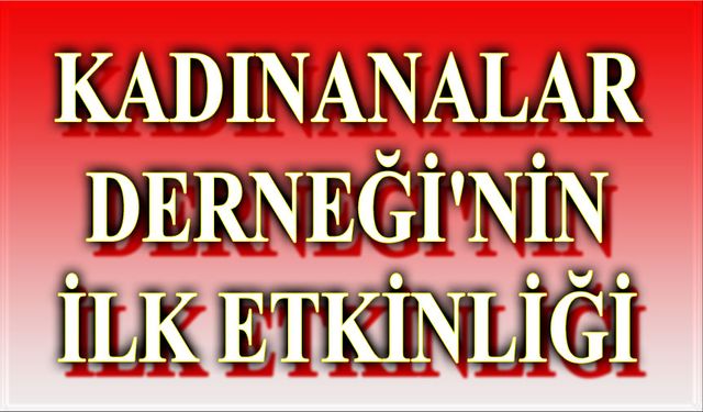 Afyon Kadınanalar Derneği'nden ilk etkinlik