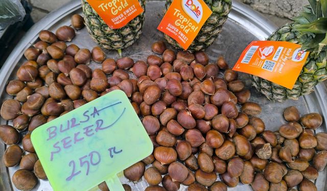 Kestane sezonu açıldı!..