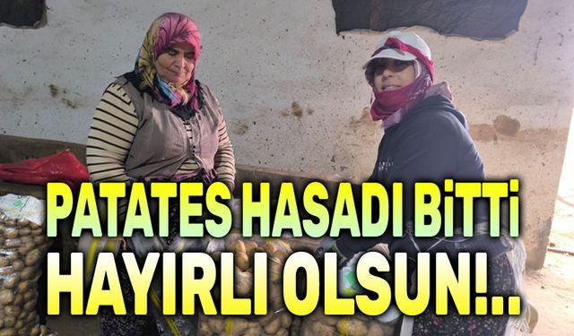 Patates hasadı bitti, depolama süreci başladı