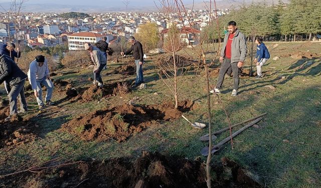 Afyon'da Sandıklılı yarenler badem fidan dikti