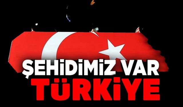 Başımız sağ olsun... Şehidimiz var Türkiye!..