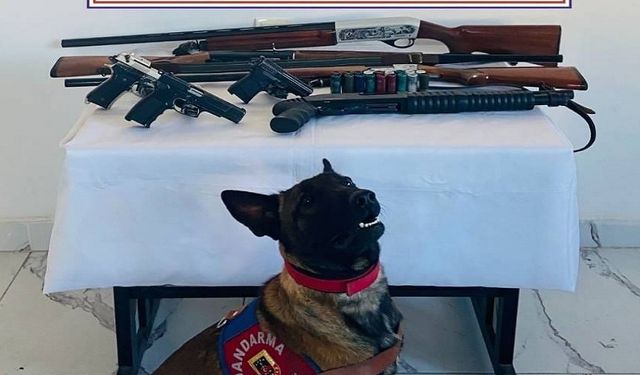 Sinanpaşa'da Jandarma Operasyonu