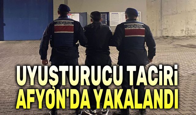 Afyon'da uyuşturucu operasyonu, 1 kişi yakalandı