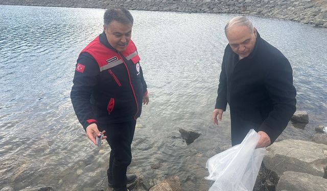 Afyonda 39 göl ve gölete balık bırakıldı