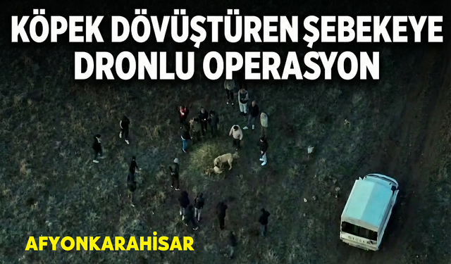 Köpek dövüştüren şebekeye dronlu operasyon