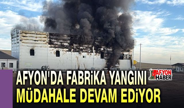 Afyon'da fabrika yangını, müdahale devam ediyor