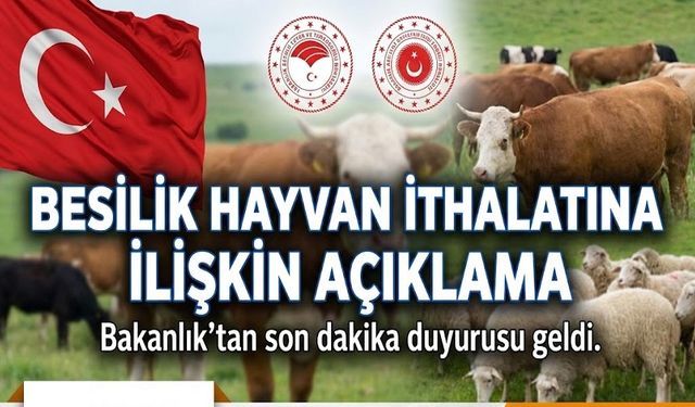 Besilik hayvan ithalatına ilişkin açıklama