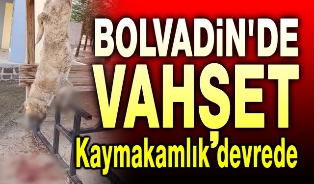 Afyon Bolvadin'de vahşet!..