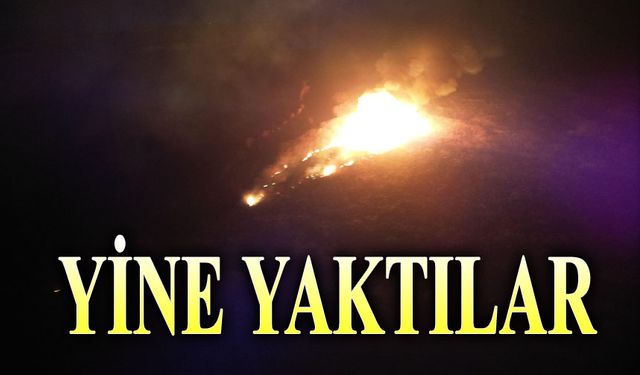 Eber Gölünde yine yangın çıktı!..