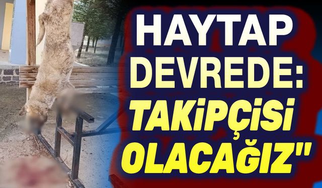 Bolvadin vahşeti: HAYTAP devreye girdi