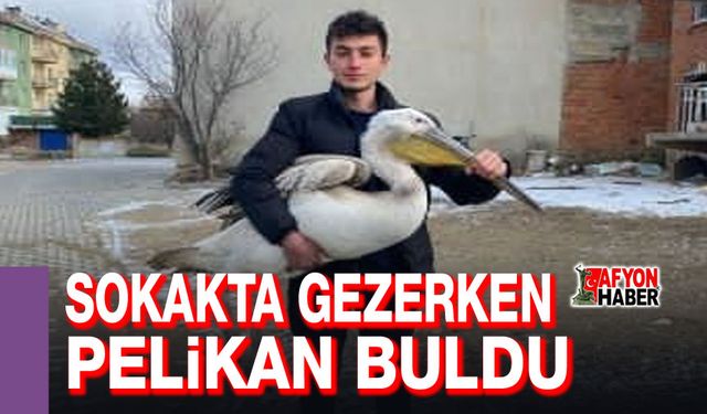 Sokakta gezerken pelikan buldu