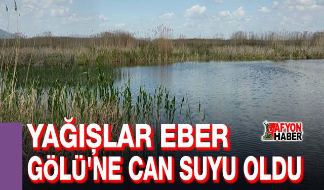 Yağışlar Eber Gölü'ne can suyu oldu