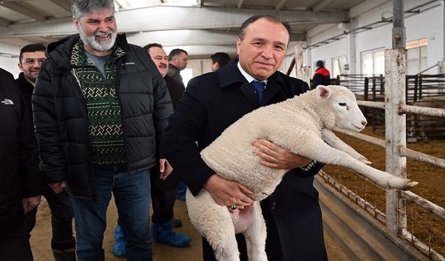 Modern hayvancılık tesislerine önem veriyoruz