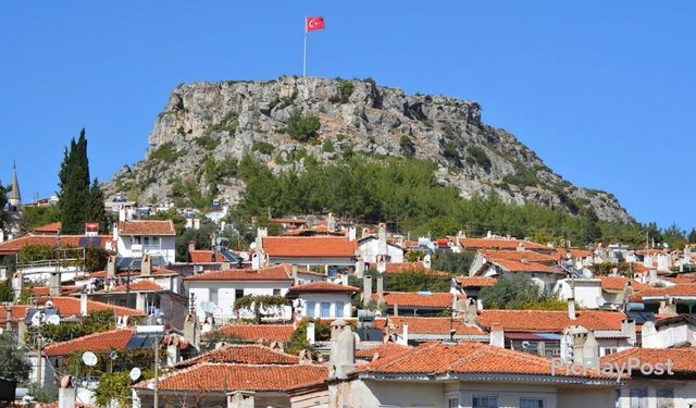 Yeşil Vatan İçin Seferberlik: Ekipler 7/24 Nöbette