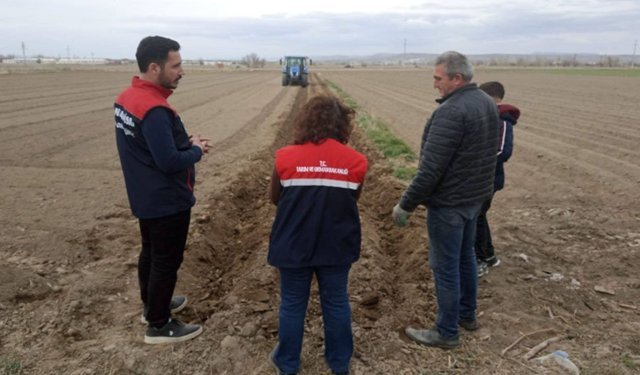Afyon'da patates ekim sezonu başladı
