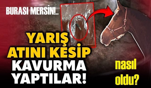 Şampiyon yarış atı, nasıl  kavurma oldu?!..