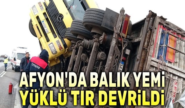 Afyon'da balık yemi yüklü tır devrildi