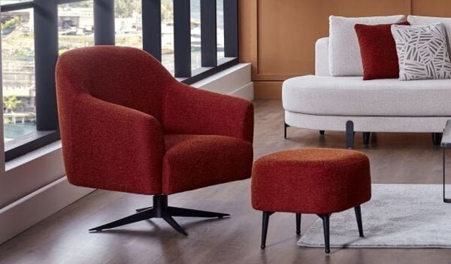 Berjer Nedir ve Nerede Kullanılır?