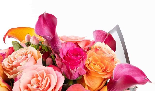 Duyguların En Samimi ve Estetik Hali