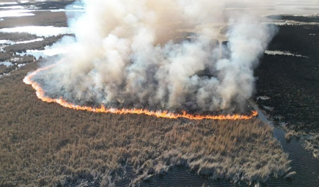 Karamık Gölünde sazlıklar yandı