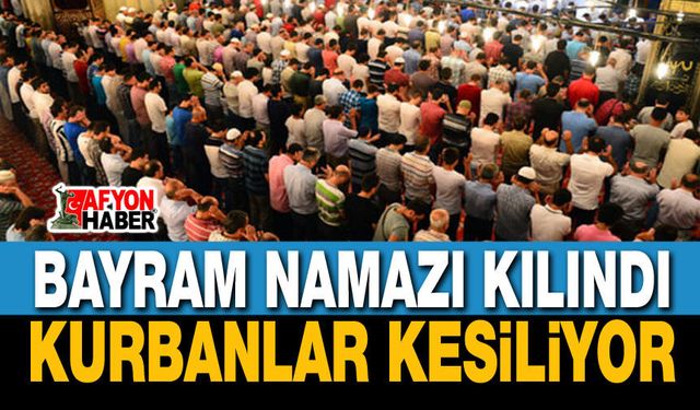 Bayram namazları kılındı, kurbanlar kesiliyor