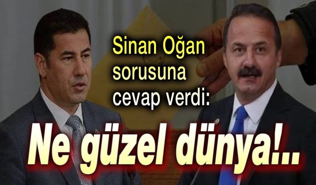 Sinan Oğan benzetmesine cevap verdi!..