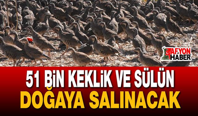 51 Bin Keklik Ve Sülün Doğaya Salınacak
